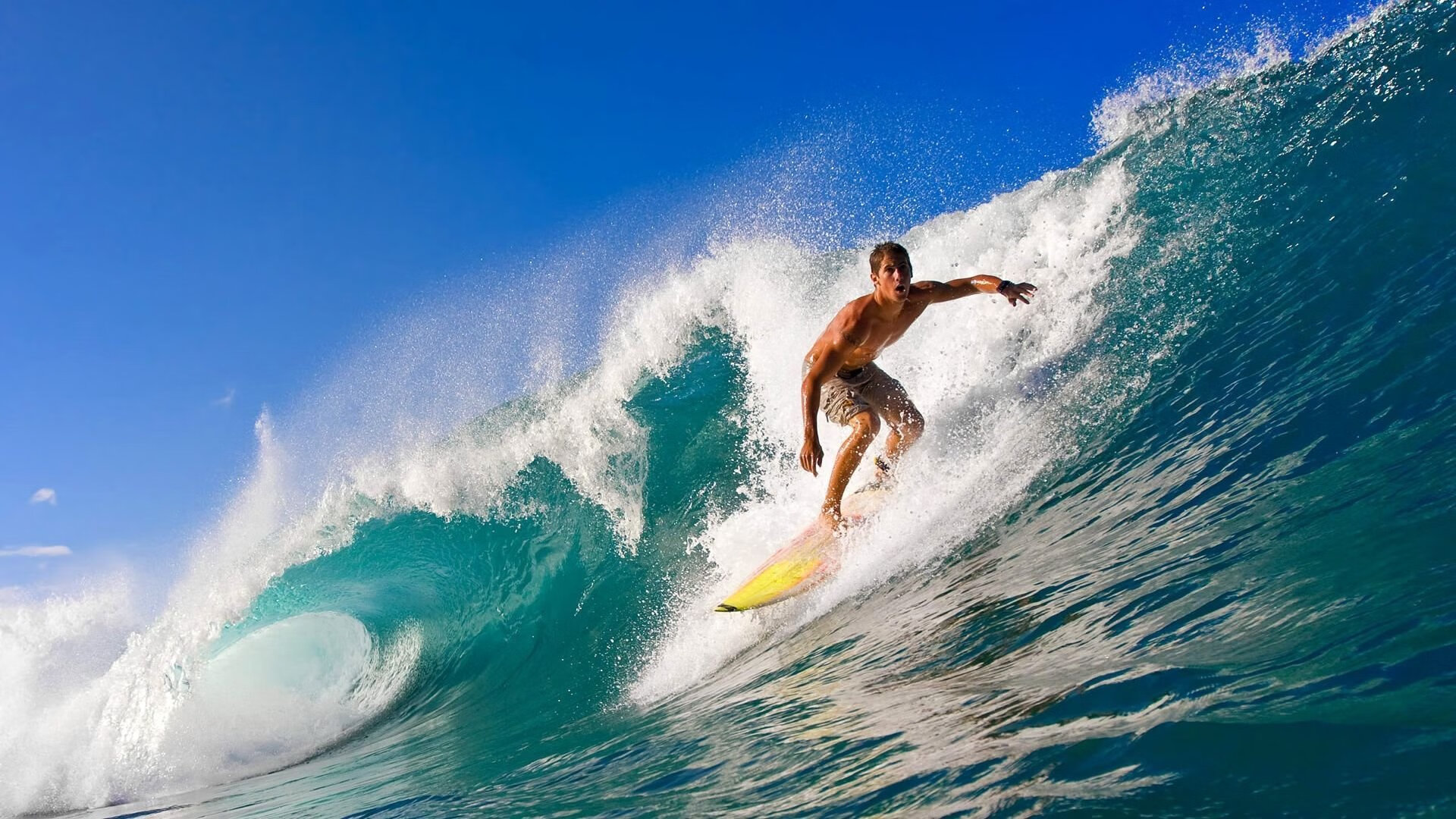 体育锋线射手荣获月度最佳球员，锋线球员什么意思