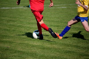 开云体育下载网址-世界男子排球联赛意大利主场折桂，意大利男子排球联赛直播