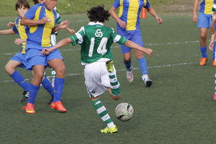 开云体育娱乐app安全-中国足球赛事直播流量与关注度指数追踪，中国足球关注度数据